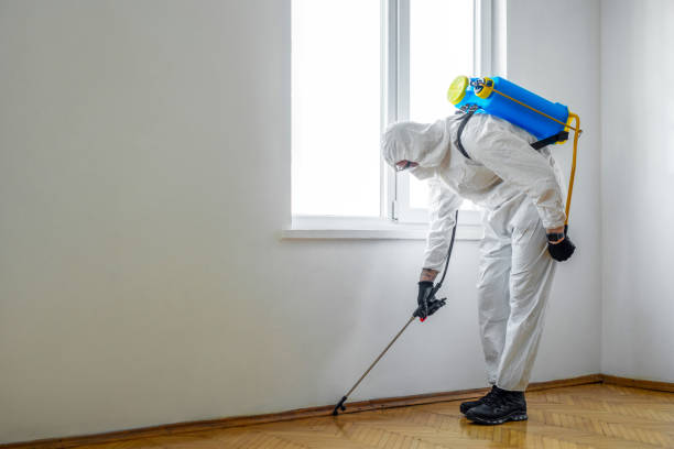 Trusted Rosemount, OH Pest Control Experts